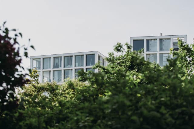 Dordrecht Noordendijk Duurzaam bomen