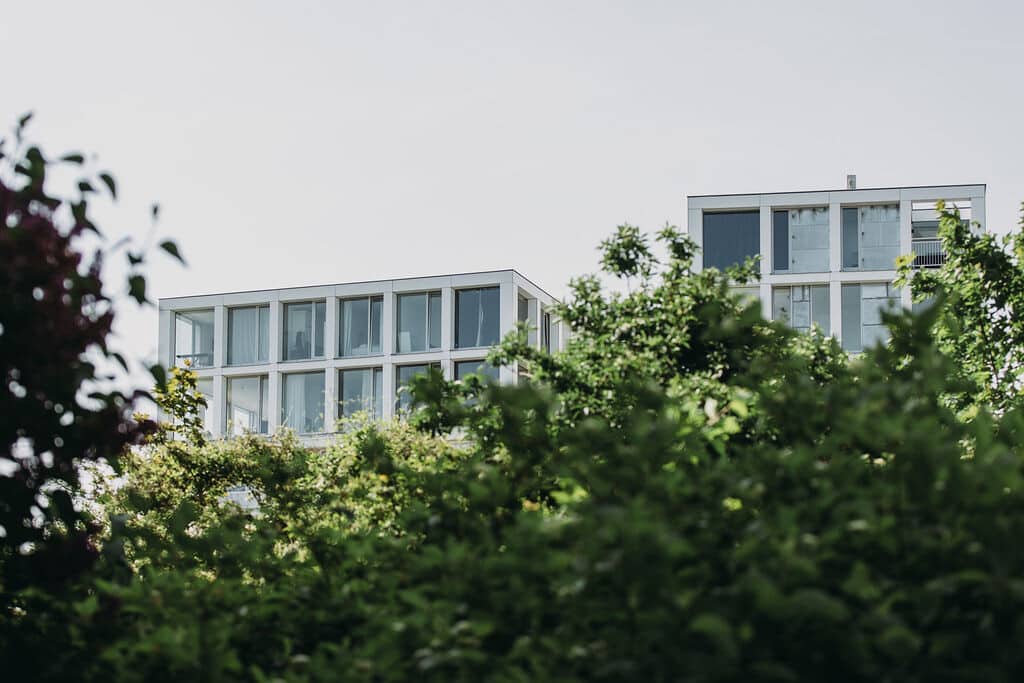 Dordrecht Noordendijk Duurzaam bomen
